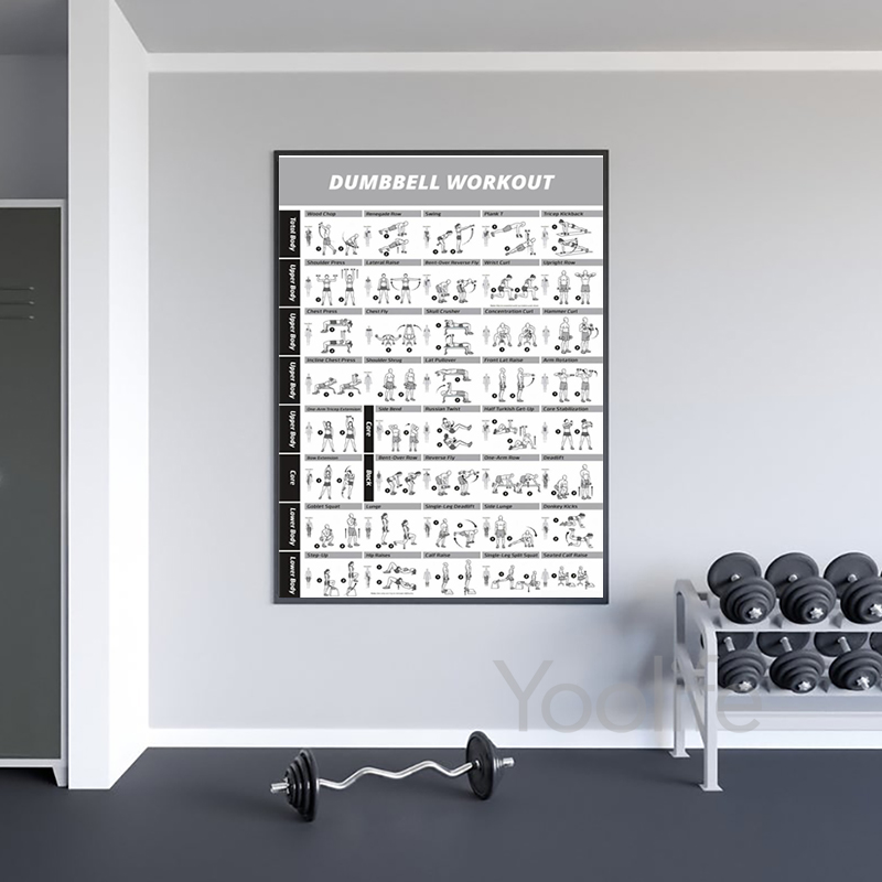 운동 운동 차트 포스터, 헬스장 벽 장식 프린트, 피트 - Sports Equipment Poster 리뷰 및 가격
